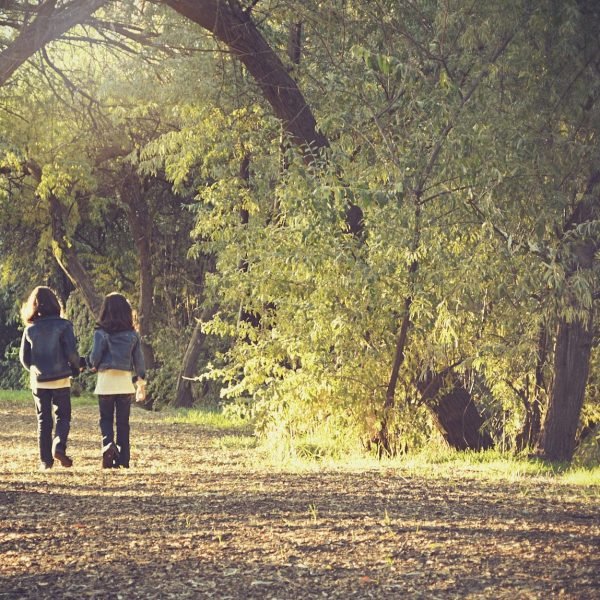 Humana Psicoterapia